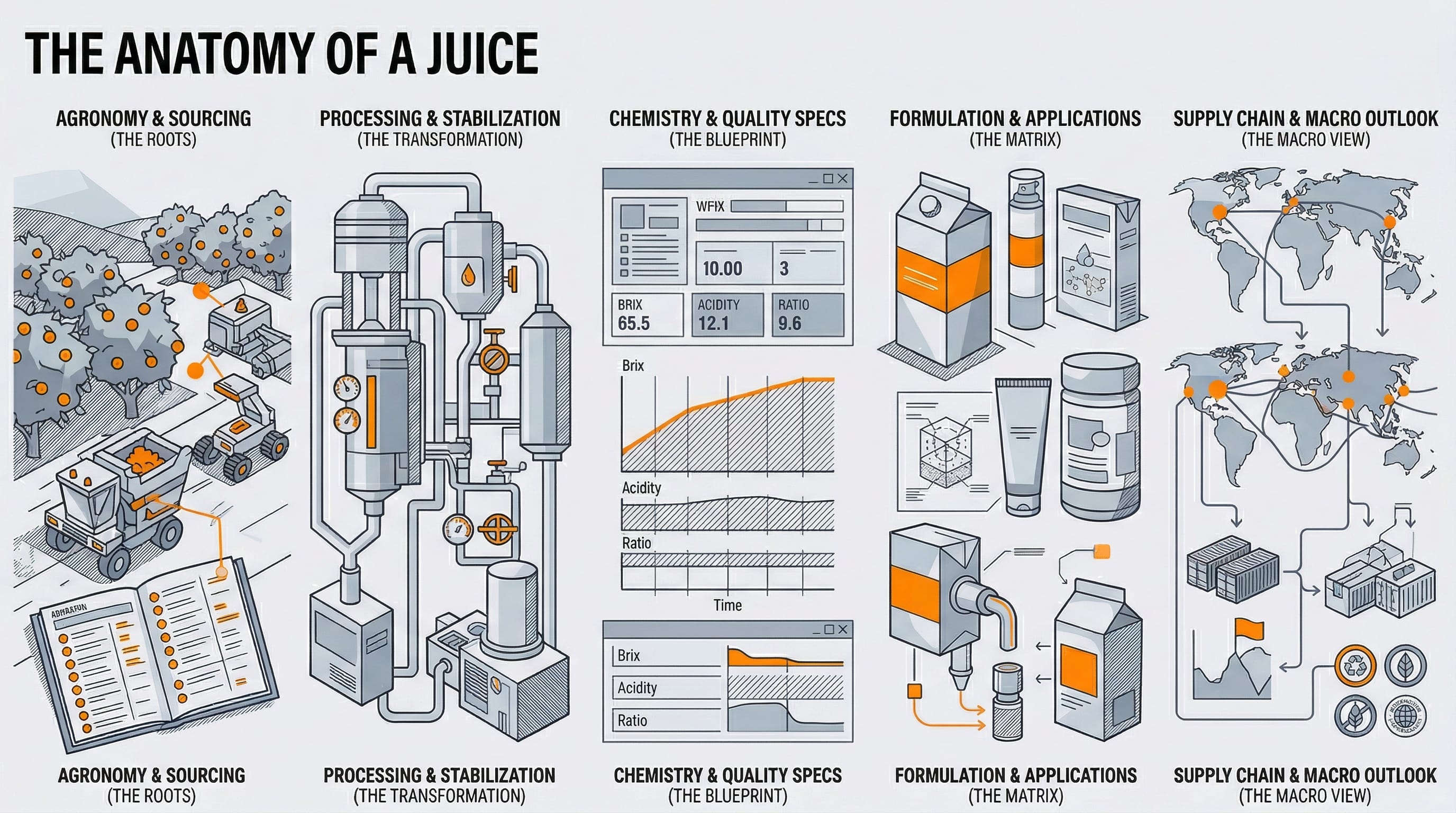 Abstract visualization of the anatomy of a juice, from seed to glass, published by ectus